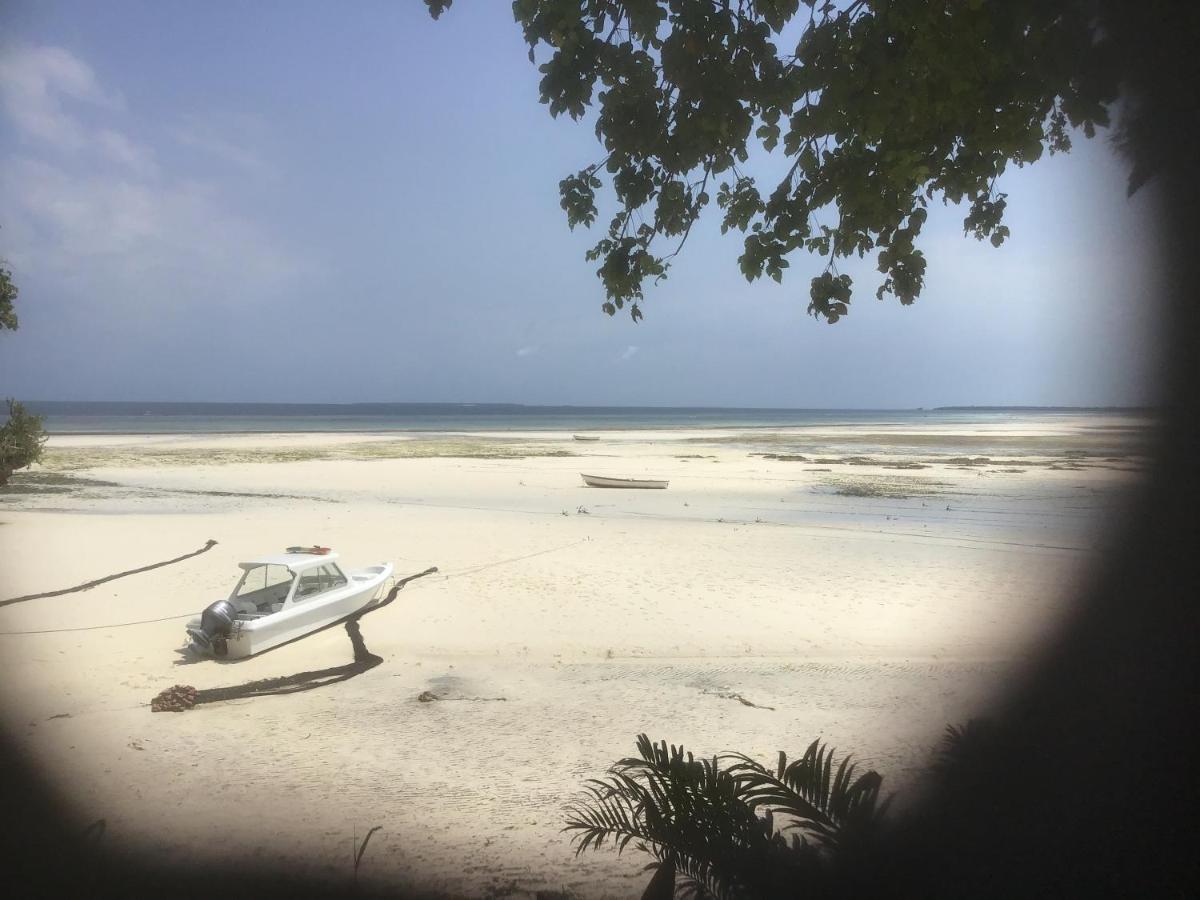 Zanzibar Kusini Beach Bungalows Hotel Kizimkazi Eksteriør bilde